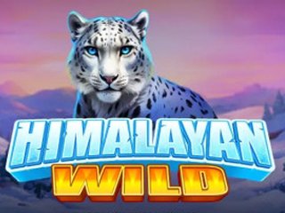 Himalayan Wild